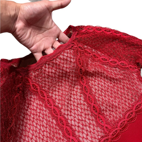 Free People Body Con Lace Mesh Fully Lined Dress - Picture 3 of 5